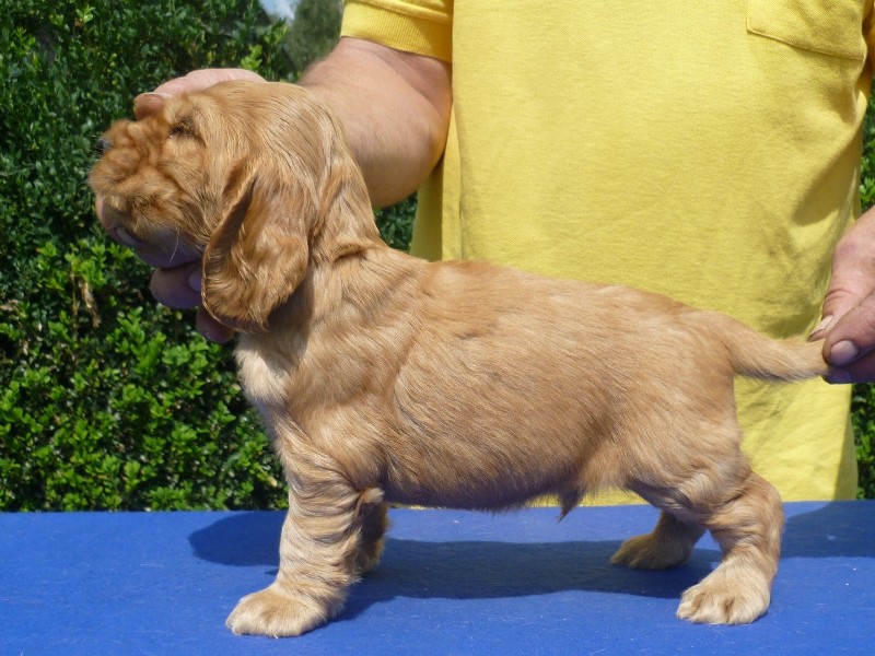 29. Garp pod Ořechem-sv. zelená.JPG